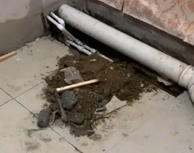 双湖卫生间漏水检测哪家好