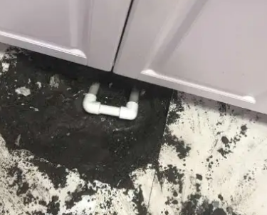 双湖查漏水哪家好