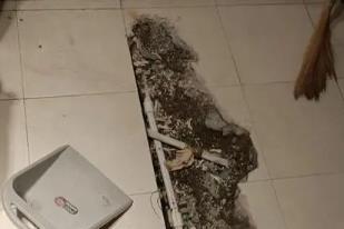 双湖卫生间漏水检测电话